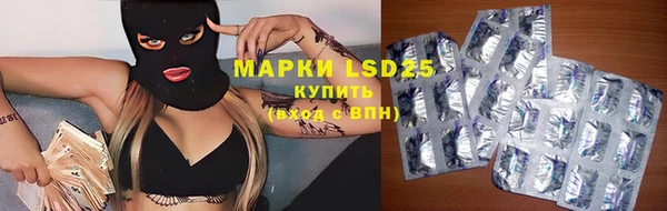 гидра Зеленодольск