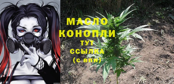 гидра Зеленодольск