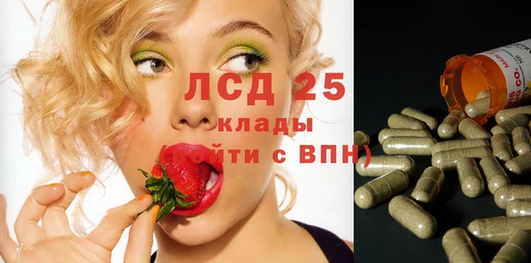 гидра Зеленодольск